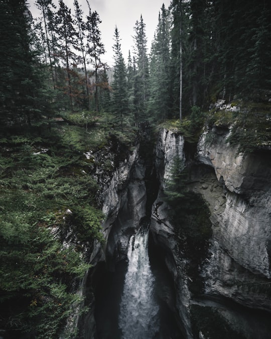 Maligne Canyon things to do in The Whistlers Summit Trail