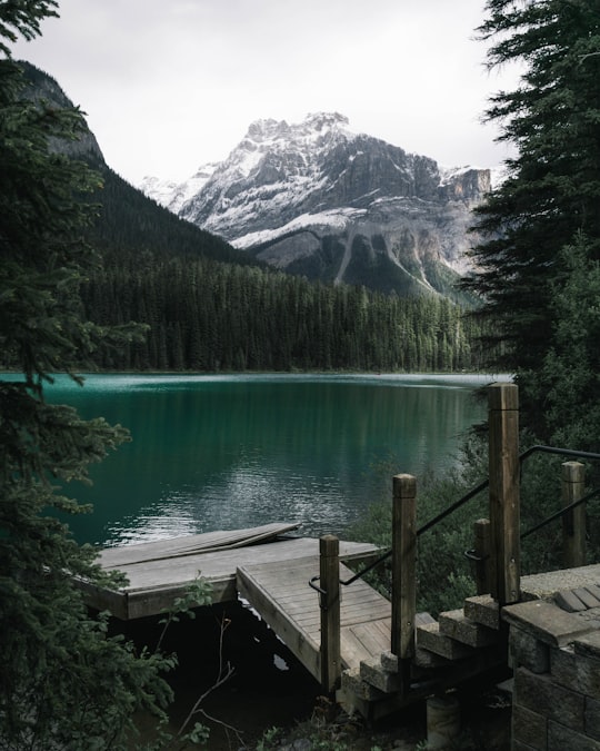 wooden dock near body of water during daytime in Emerald Lake Canada