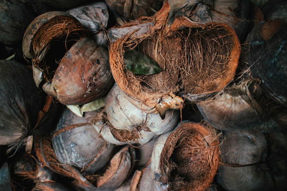 bouquet de coques de noix de coco