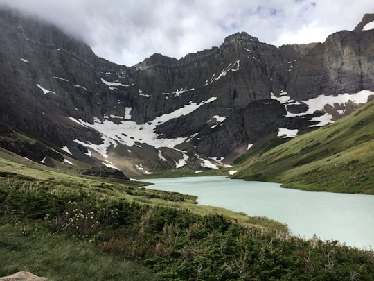 calm river between green grass field in distance gray rugged mountain under white cloudy sky daytime in Cracker Lake United States