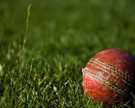 shallow focus photography of red cricket ball