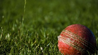 shallow focus photography of red cricket ball