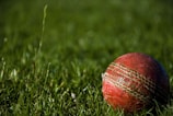 Close-up of a cricket ball resting on the crease line of a pristine ground.
