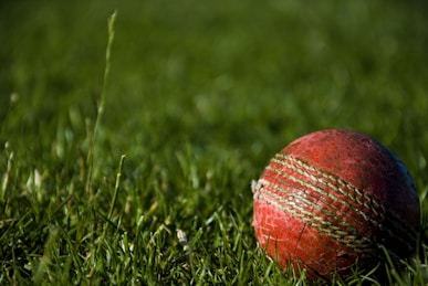 shallow focus photography of red cricket ball