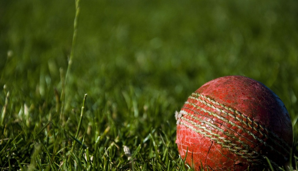 shallow focus photography of red cricket ball