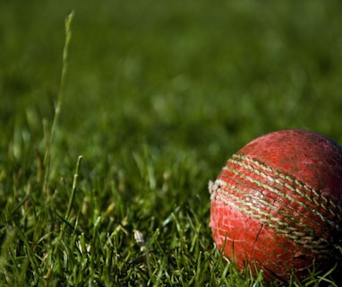 shallow focus photography of red cricket ball