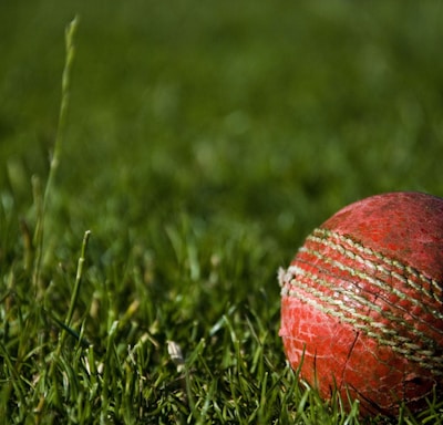 shallow focus photography of red cricket ball