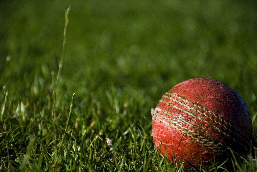 Fotografía de enfoque superficial de pelota de cricket roja