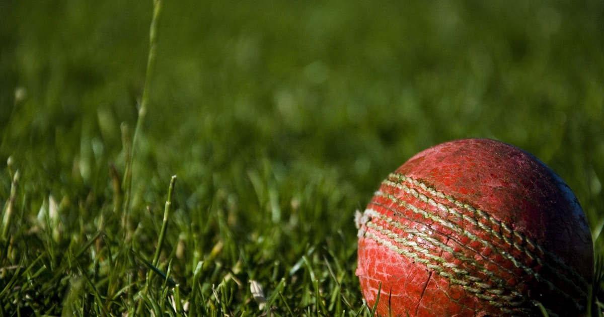 Cricket Bat Buying Guide: English Willow vs Kashmir Willow