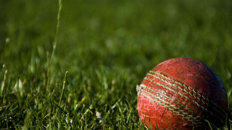 টাইগারদের নতুন কোচিং স্টাফ নিয়োগ