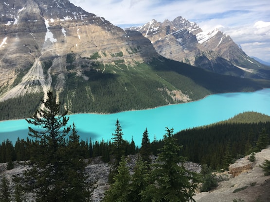 blue river surrounding mountains