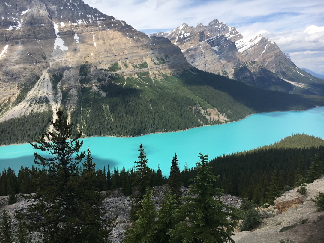 Glacial lake photo spot Petyo Lake Athabasca