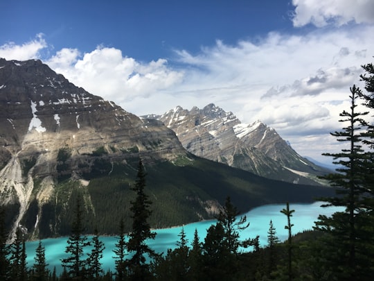 landscape photography of body of water surrounding mountains in Canadian Rockies Canada