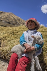 white sheep on boy's lap sitting on hill