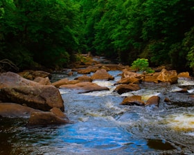 A serene natural landscape featuring a flowing river cutting through a dense forest. Large rocks are scattered throughout the water, creating a dynamic interplay between the smooth flowing water and the rugged stone surfaces. Lush green trees densely line both sides of the river, creating a canopy of foliage.