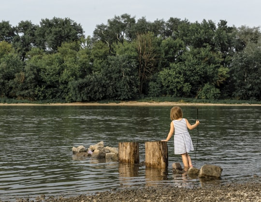 girl standing on gray stone surrounded with body of water in Szentendre Hungary