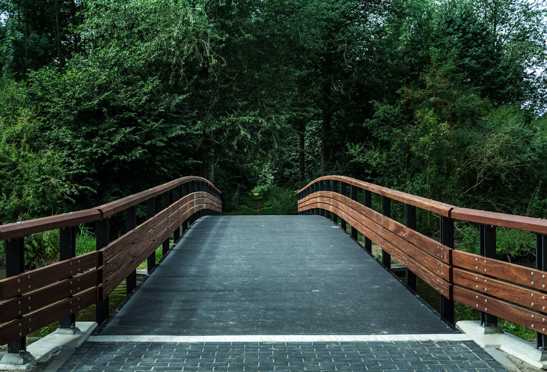 Bridge photo spot Beatrixpark Hague