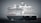 A large cruise ship is sailing on open water, featuring multiple decks and lifeboats along the side. The ship is primarily black and white with distinctive design elements and a name visible at the front.