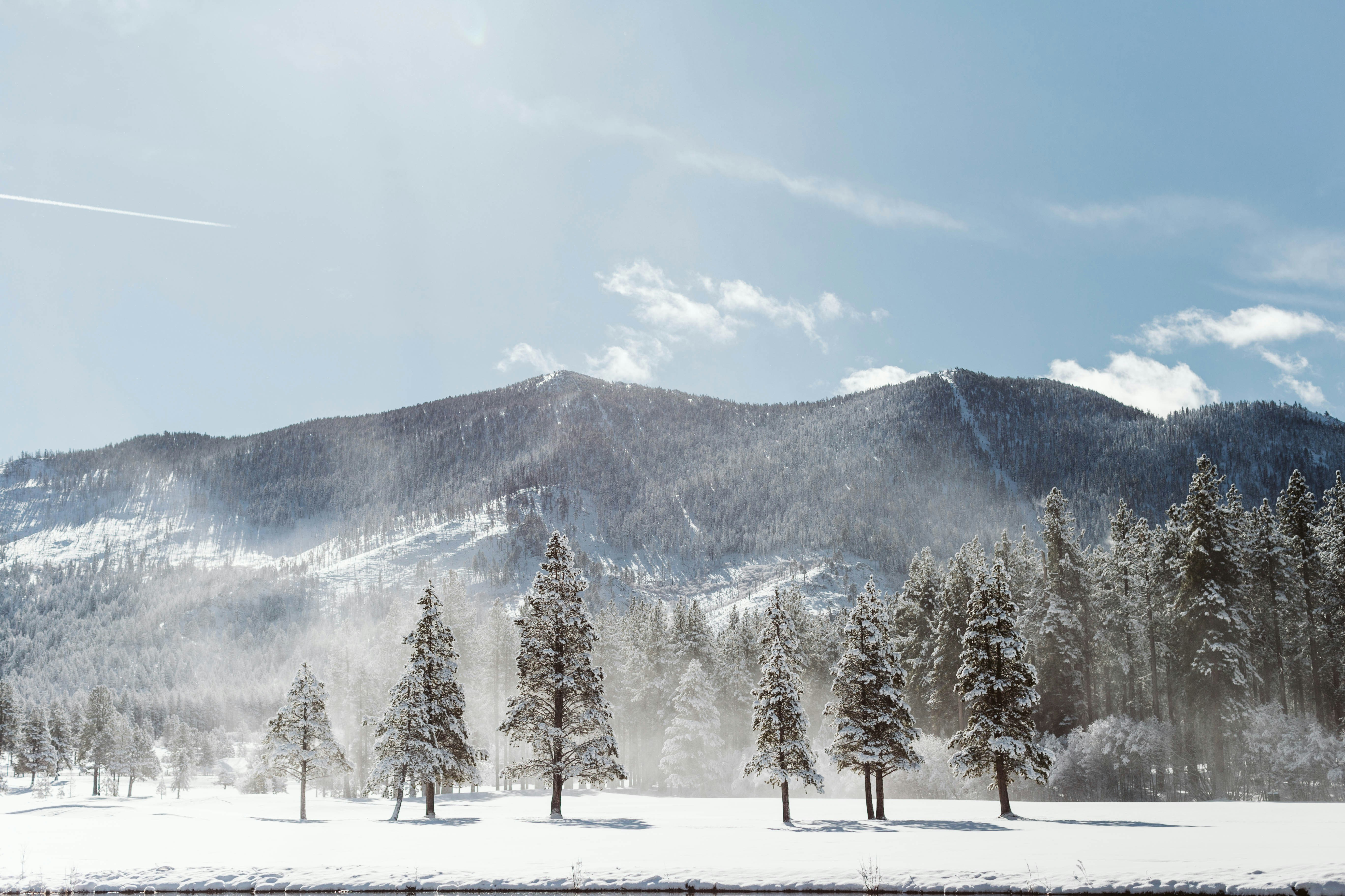 Photo by jennanicolephotos_