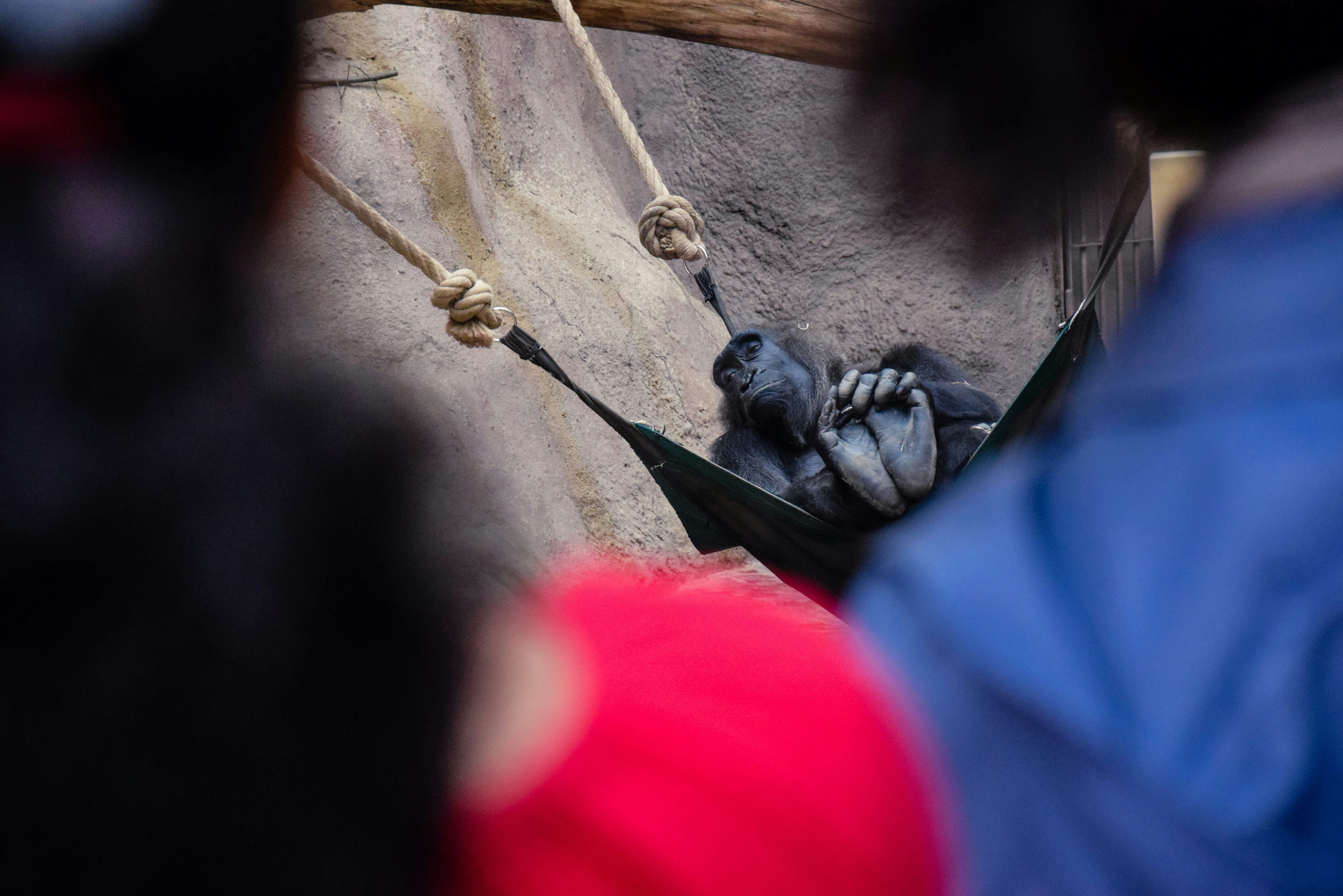 Poder creativo imagen destacada