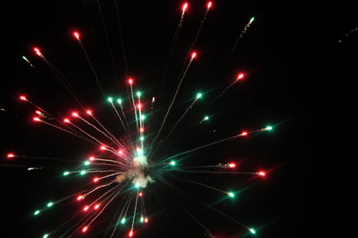 Bright red and blue fireworks exploding in symmetrical patterns against a dark sky.