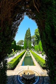 A beautifully manicured garden with a long rectangular pond at the center is framed by lush green hedges. At the forefront, a small ornate fountain with flowing water adds to the serene atmosphere. Tall, slender trees line the main path, with vibrant greenery and blooming flowers enhancing the tranquil setting. The sky is bright and clear, contributing to the peaceful ambiance.