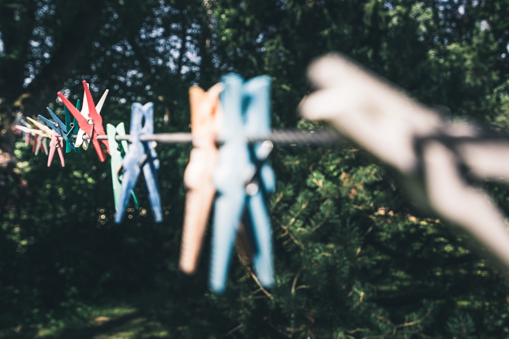 assorted-color clothes pegs on brown string selective-focus photography