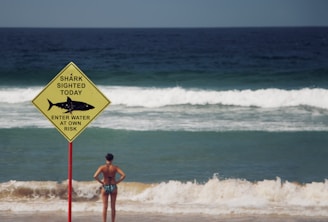 Playa con señal de avistamiento de tiburón