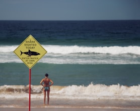 Playa con señal de avistamiento de tiburón