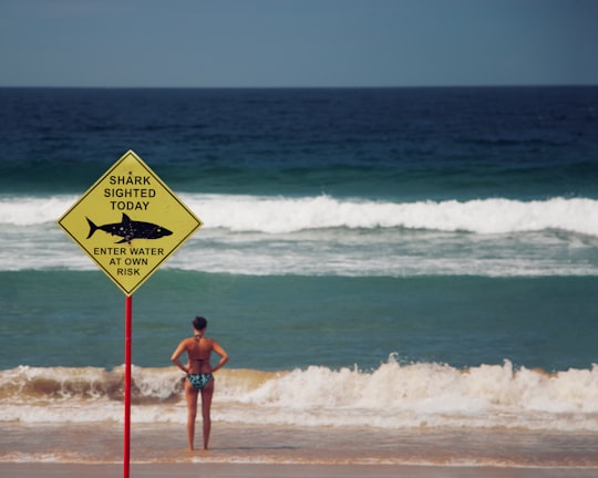 woman standing at beach beside shark signage in Manly Beach Australia