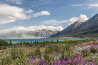 Sunlight sparkling on the turquoise waters of Lake Reschen with colorful wildflowers in the foreground.
