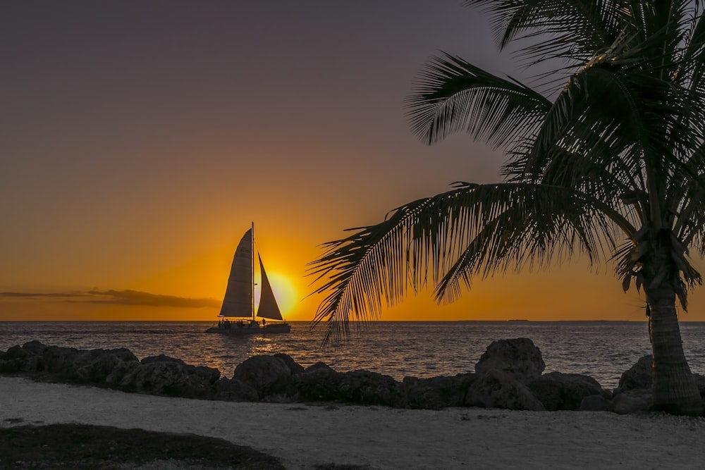 sailboat at sea near seashore