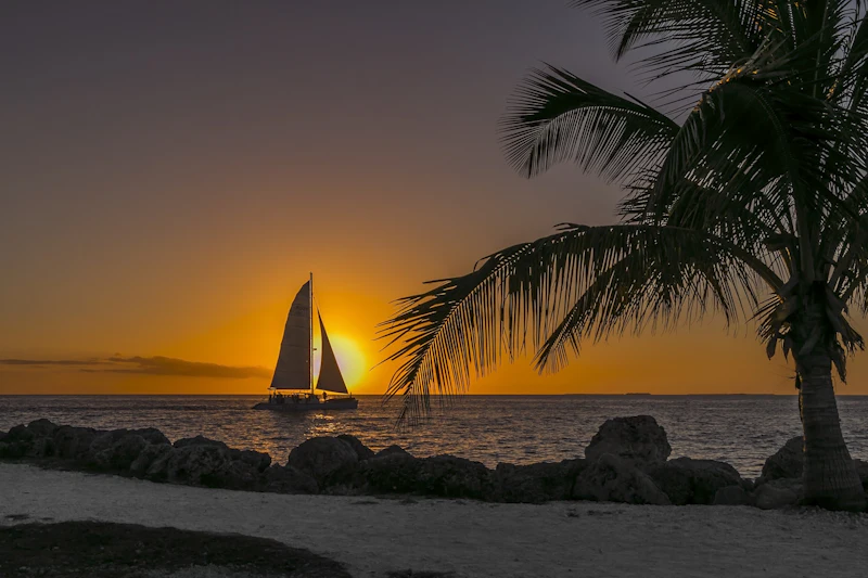 Solo's Sunset Champagne Cruise