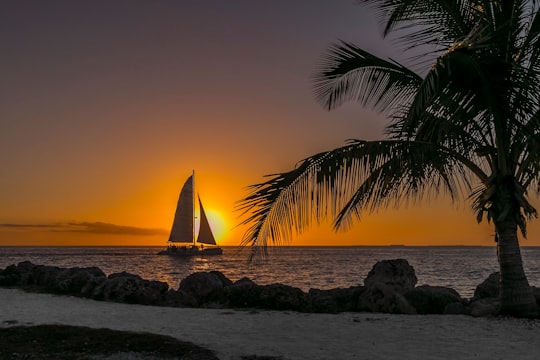 sailboat at sea near seashore in Key West United States