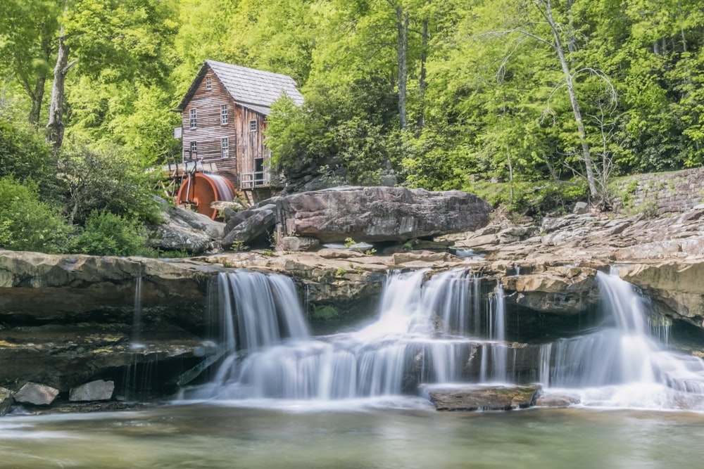 Cascate marroni vicino a case e alberi della foresta durante il giorno