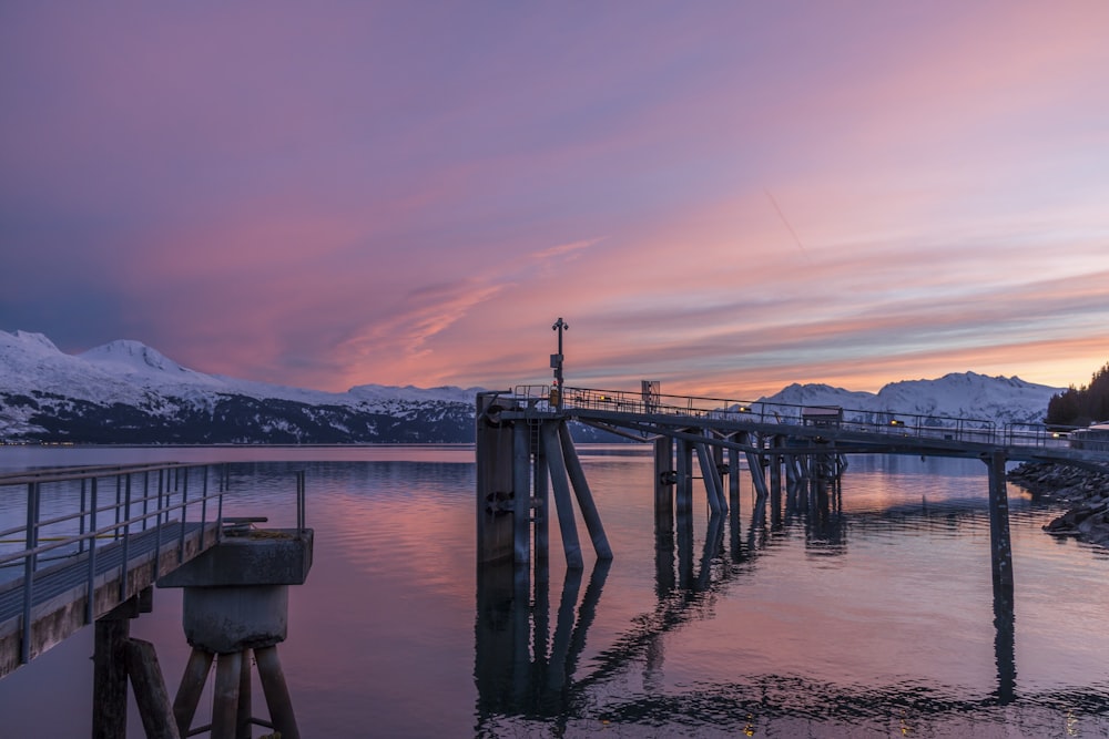 gray suspension bridge on body of water