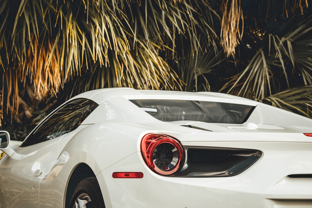 white sports car parked under the tree