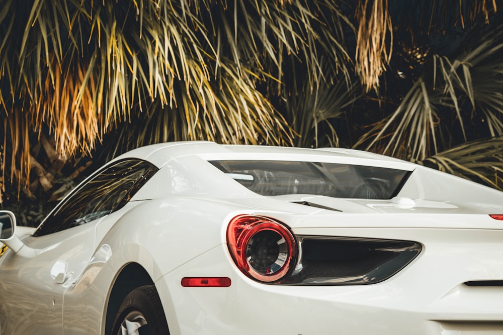 Coche deportivo blanco aparcado bajo el árbol