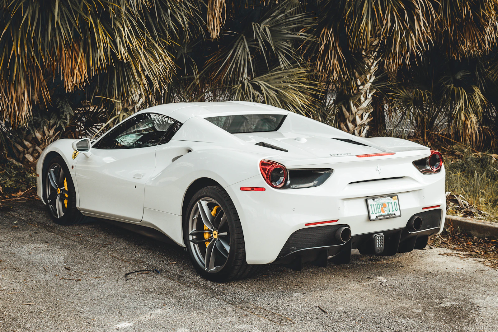 White Ferrari 488 Spider parked under palm fronds