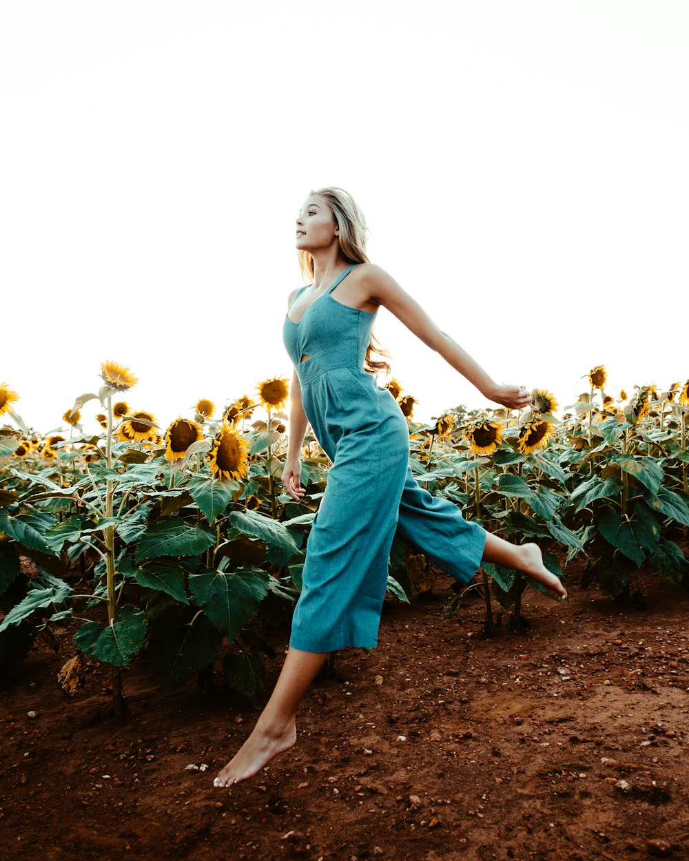 femme marchant près du champ de tournesol pendant la journée