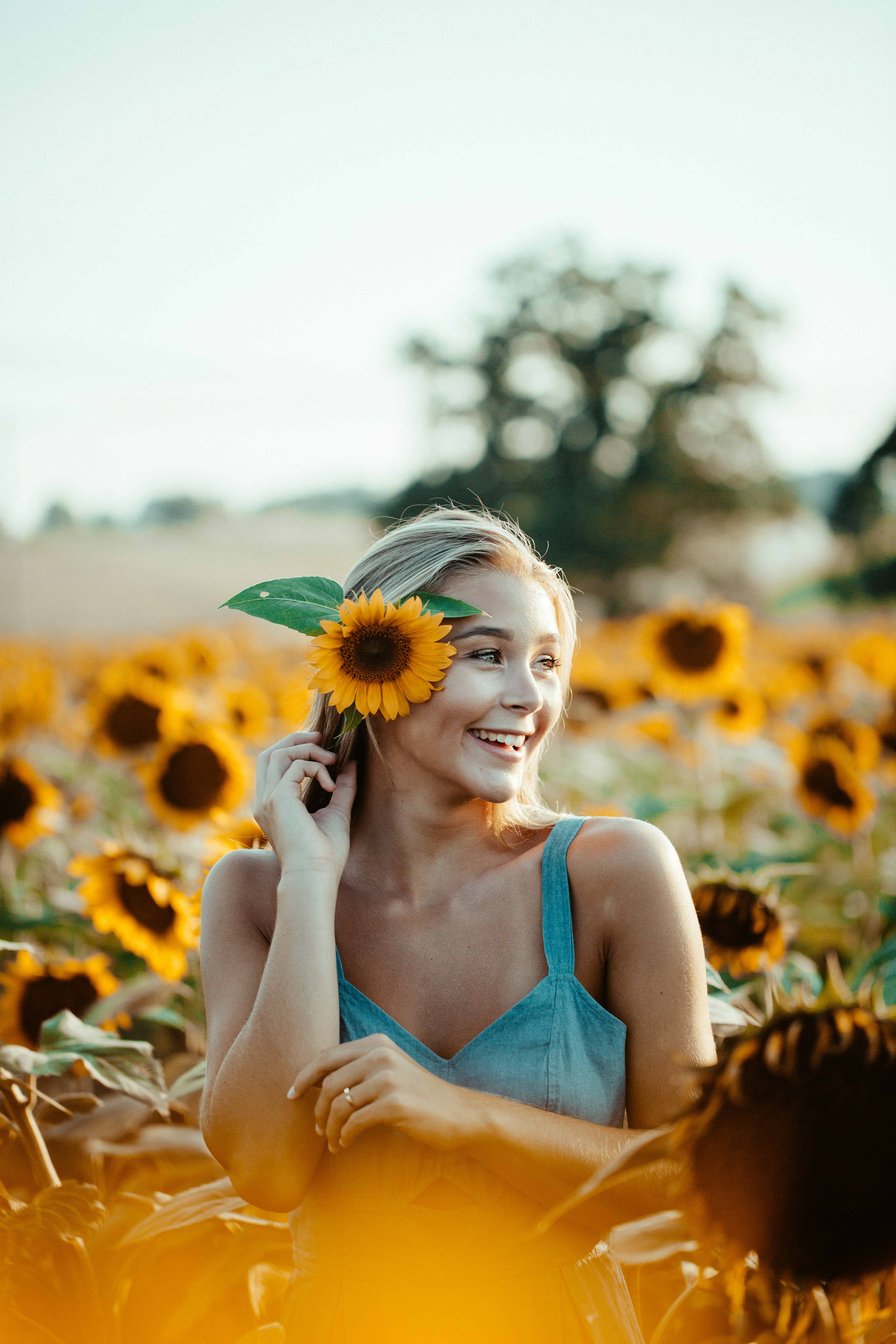 great photo recipe,how to photograph happy roo; woman in blue sleeveless dress holding sunflower placing in ear