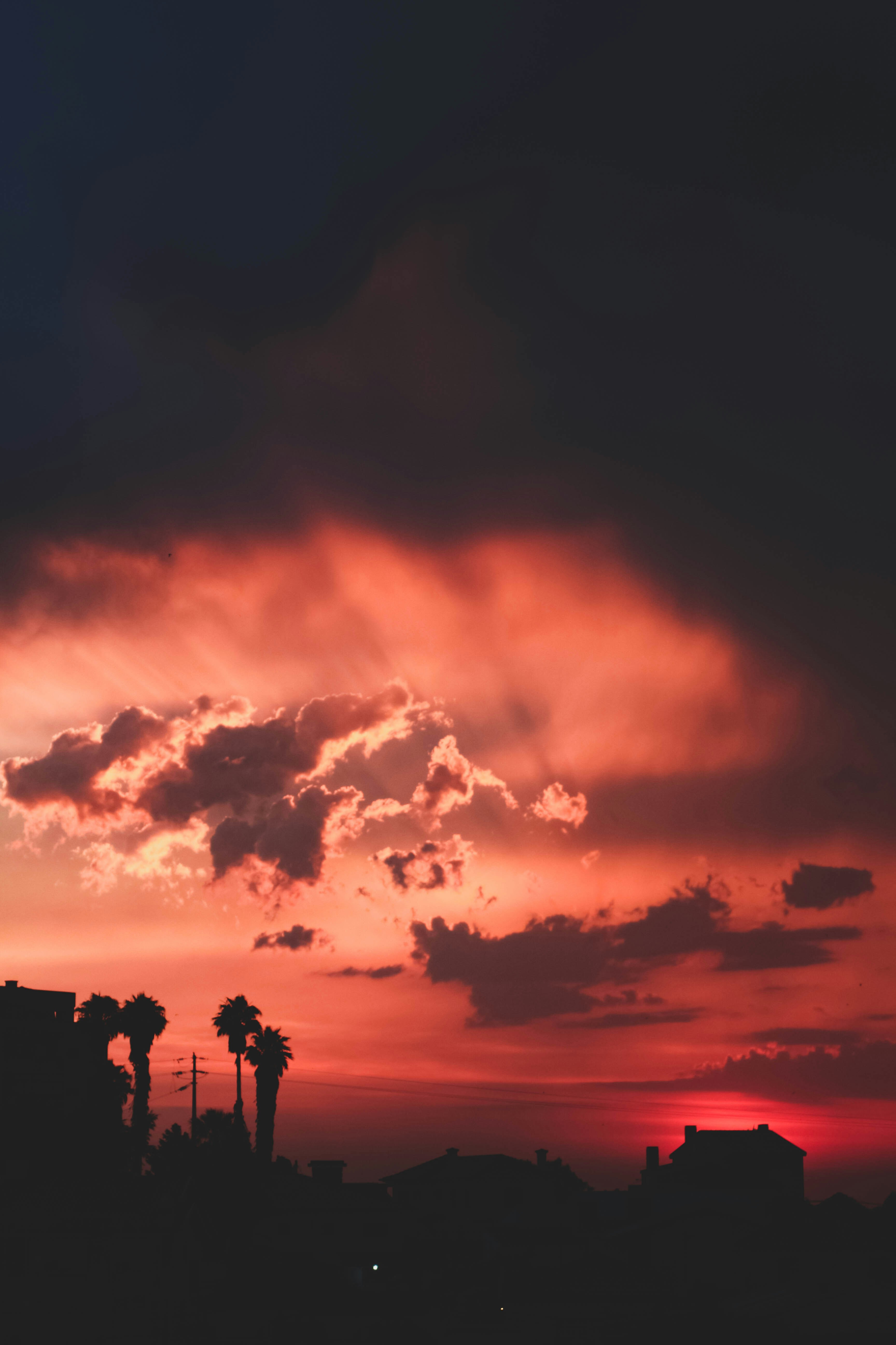 Photo by pedrobarros