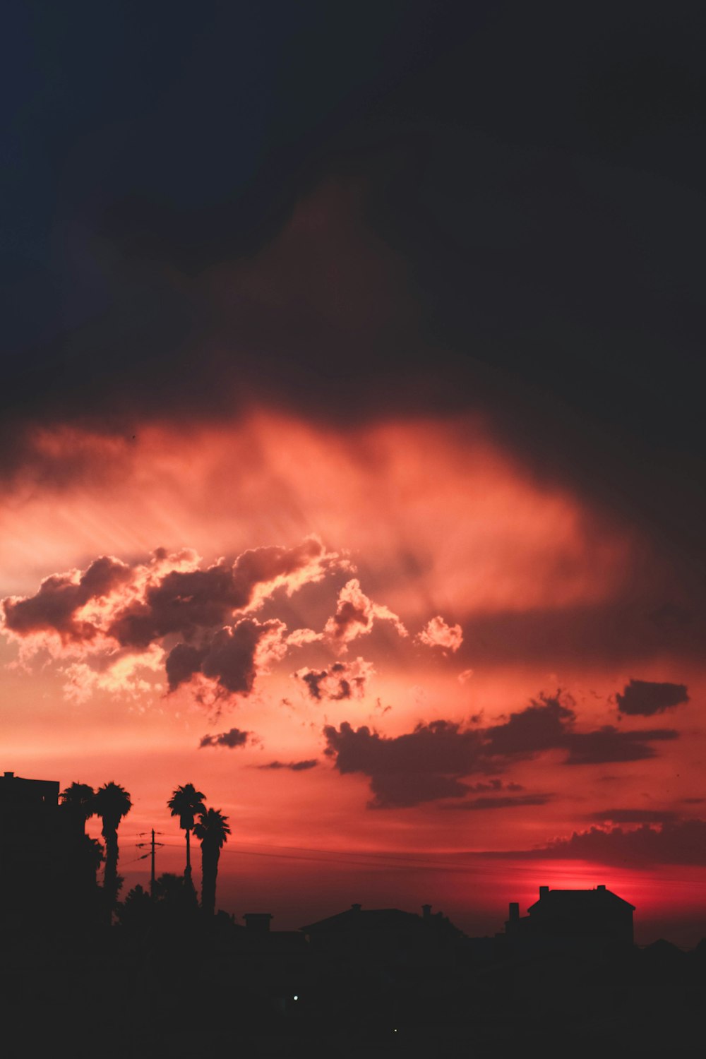 silhouette of trees and houses