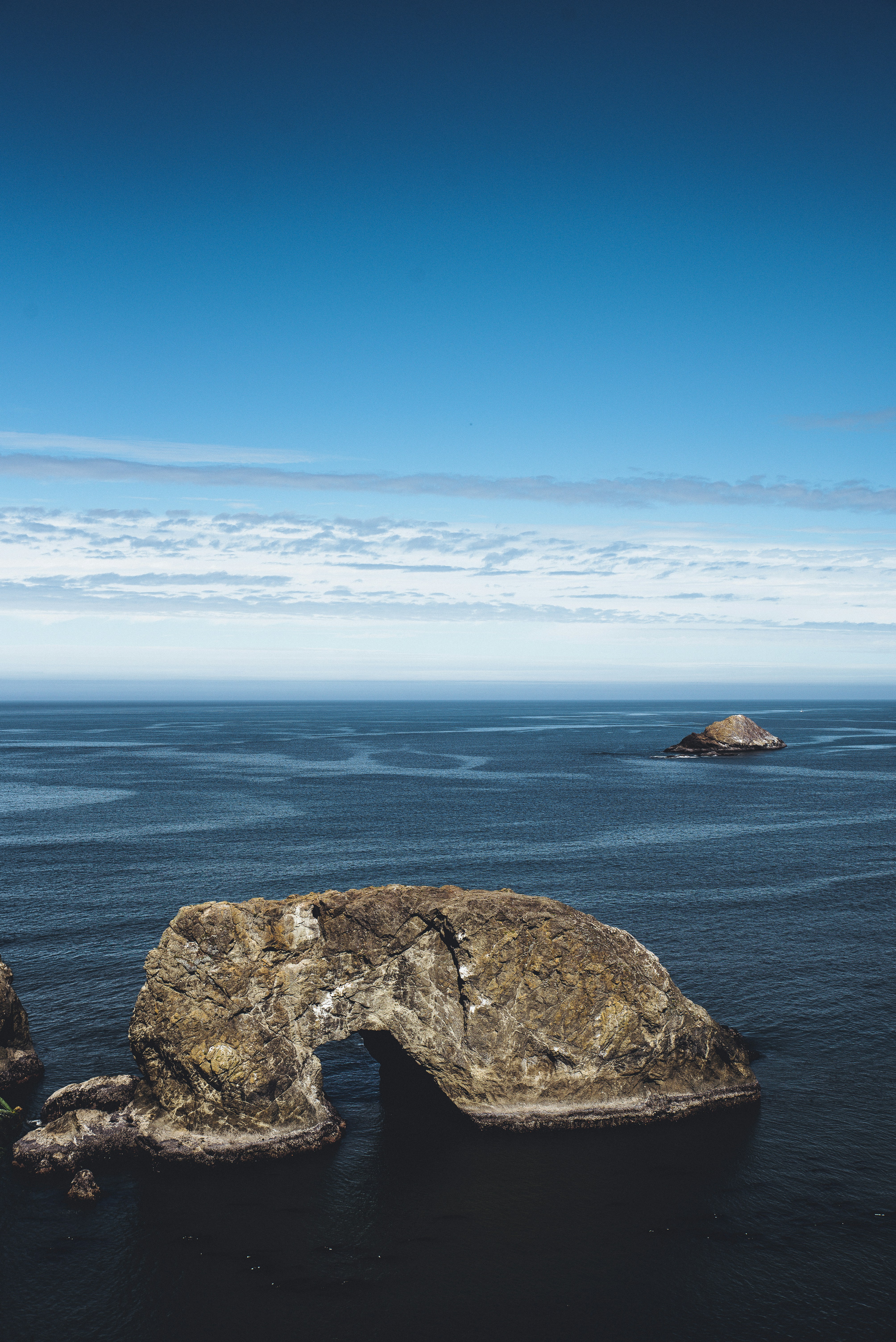 Photo by mischievous_penguins