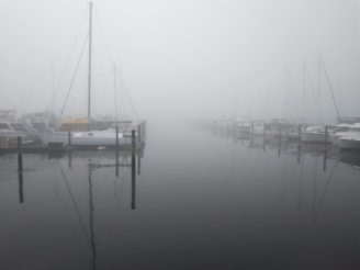 A serene marina scene with boats docked alongside wooden piers. The entire area is enveloped in a thick fog, creating a mysterious and tranquil atmosphere. The water is calm, mirroring the masts and outlines of the boats. Details are obscured by the mist, adding a sense of depth and calmness.