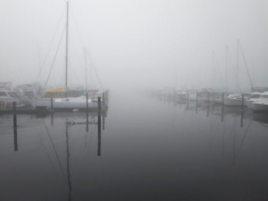 A serene marina scene with boats docked alongside wooden piers. The entire area is enveloped in a thick fog, creating a mysterious and tranquil atmosphere. The water is calm, mirroring the masts and outlines of the boats. Details are obscured by the mist, adding a sense of depth and calmness.