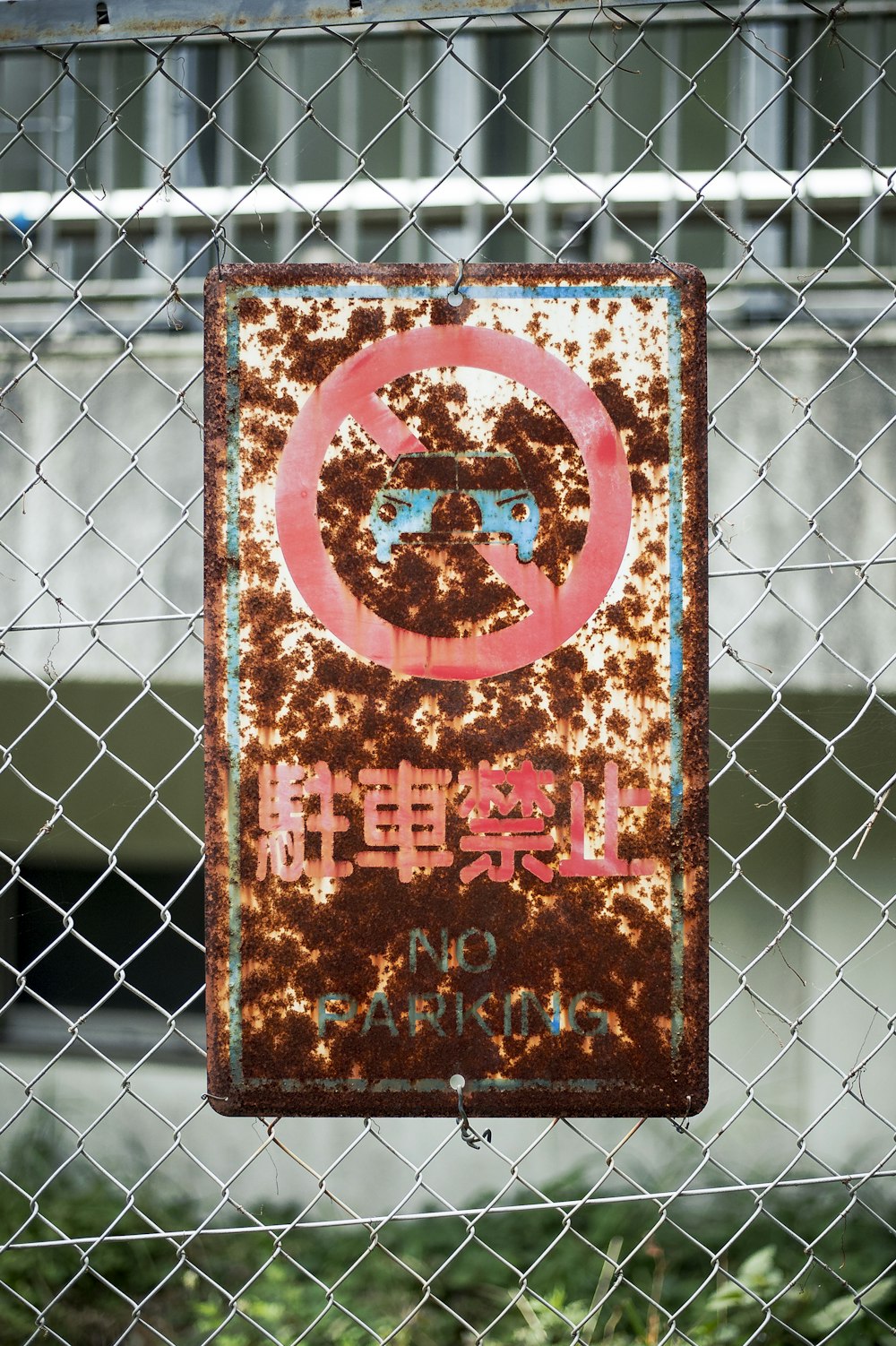 blue and white No Parking signage hanging on gray cyclone fence