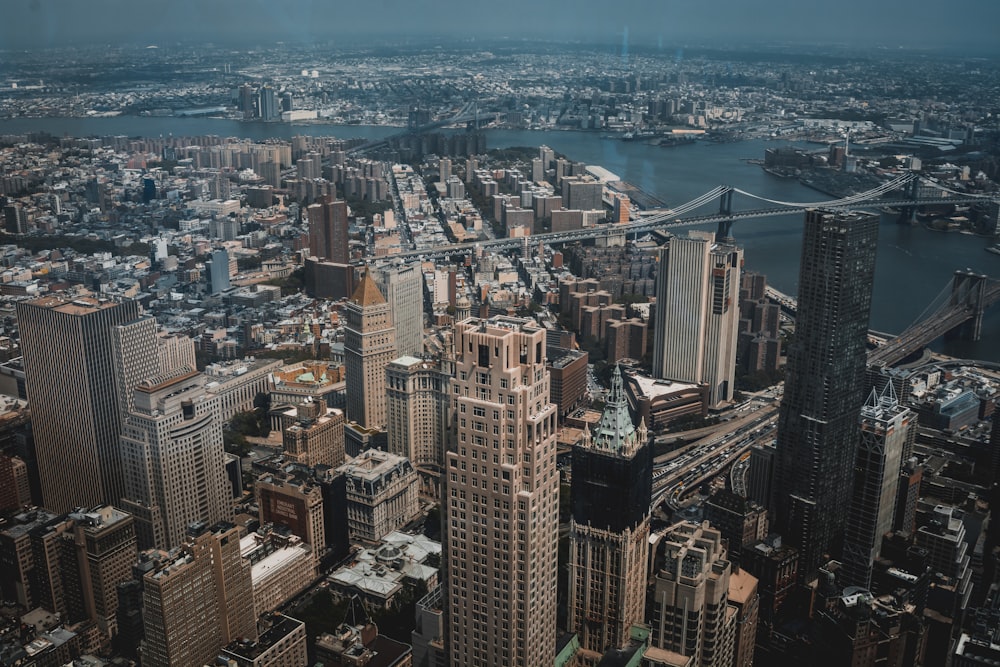 high-rise buildings near body of water