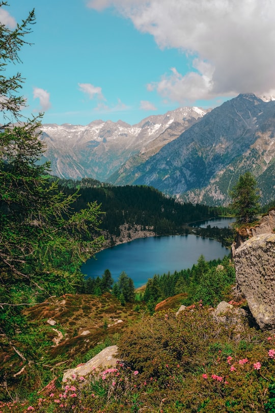 body of water surrounded by mountain range in Valle Rendena Italy