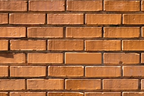 Close-up of freshly laid bricks forming a strong, straight wall in sunlight
